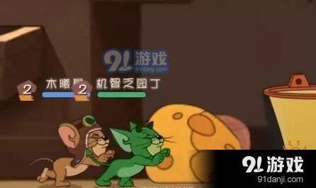 猫和老鼠讲解